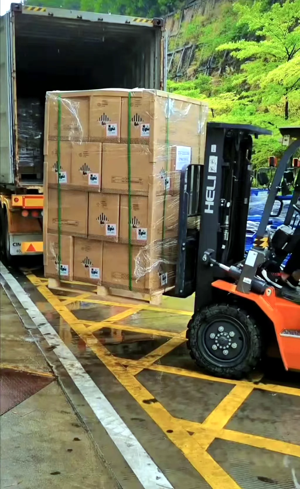 HOMESOL packed products prepared for shipment